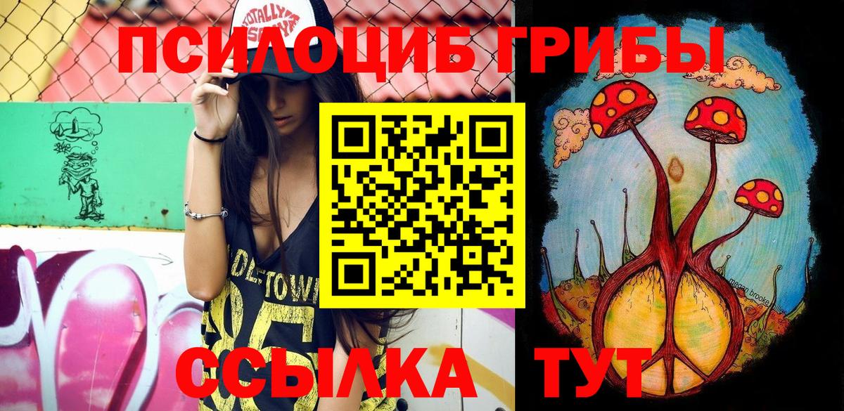 Галлюциногенные грибы Psilocybine cubensis Нягань